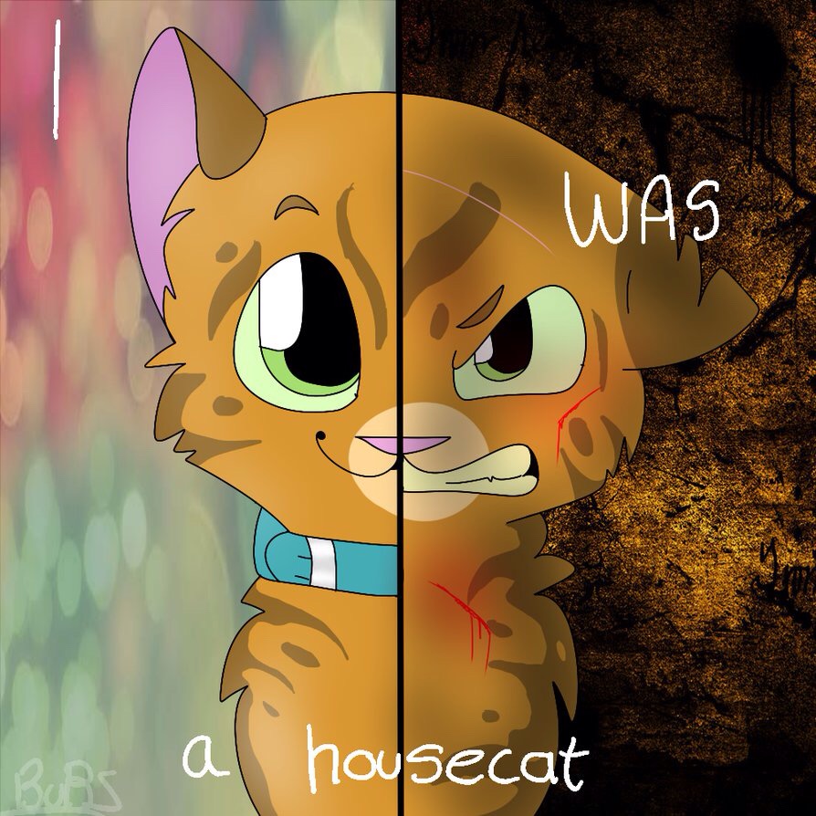 warriors warriorcats firestar...